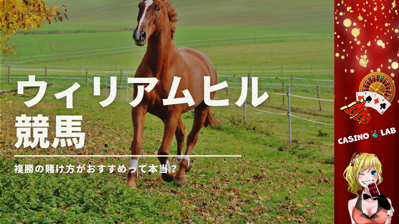 ウィリアムヒル競馬の馬券の買い方は？複勝の賭け方がおすすめって本当？