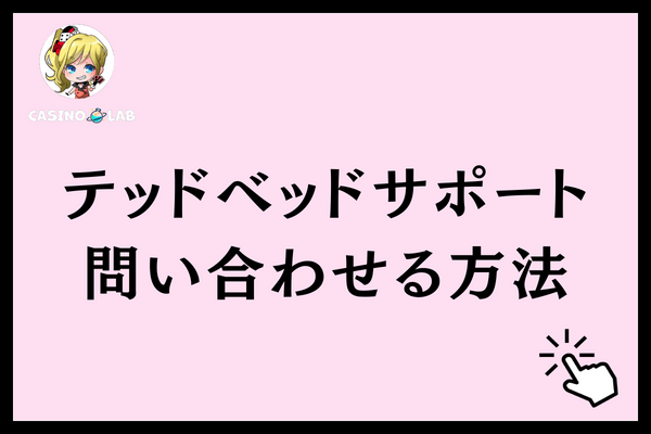 テッドベットサポート　問い合わせ方法