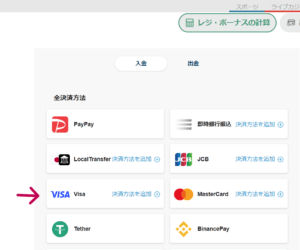 テッドベットカジノVISA入金手順2