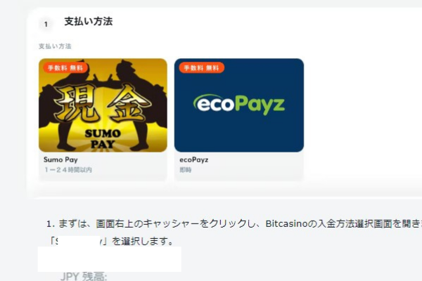 エコペイズ　入金